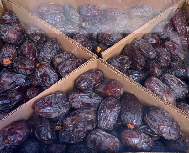 Kudüs Hurması ( Medjool Datteln ) Kudüs Hurması ( Medjool Datteln )