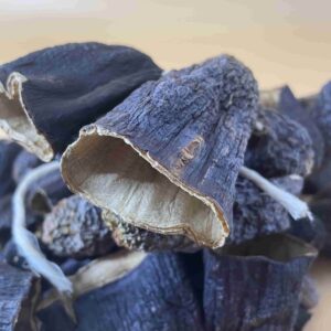 Getrocknete Auberginen ( Antep Kuru Patlıcan Dolması )