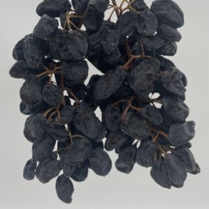 Malatya Salkım Üzüm ( Getrocknete Schwarze Trauben